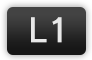 L1